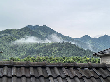 「茶礼丹卿Cha Li Dan Qing」